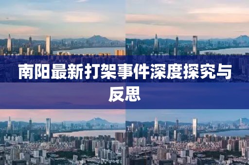 南陽最新打架事件深度探究與反思