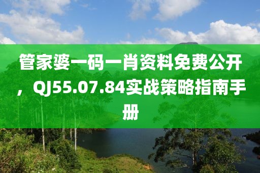 管家婆一碼一肖資料免費(fèi)公開，QJ55.07.84實(shí)戰(zhàn)策略指南手冊