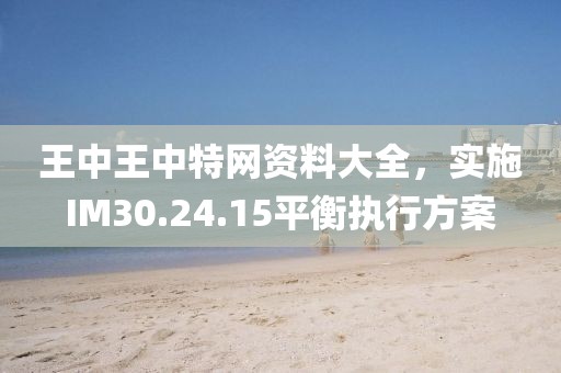 王中王中特網(wǎng)資料大全，實施IM30.24.15平衡執(zhí)行方案