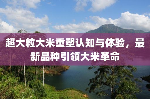 超大粒大米重塑認(rèn)知與體驗，最新品種引領(lǐng)大米革命