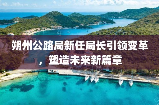 朔州公路局新任局長引領(lǐng)變革，塑造未來新篇章