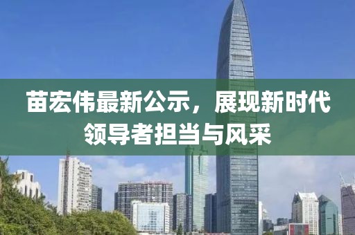 苗宏偉最新公示，展現(xiàn)新時(shí)代領(lǐng)導(dǎo)者擔(dān)當(dāng)與風(fēng)采
