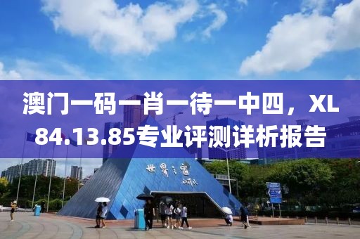 澳門一碼一肖一待一中四，XL84.13.85專業(yè)評測詳析報告