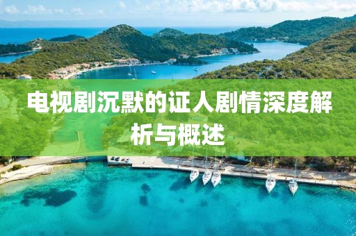 電視劇沉默的證人劇情深度解析與概述