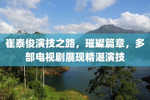 崔泰俊演技之路，璀璨篇章，多部電視劇展現(xiàn)精湛演技