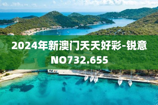 2024年新澳門(mén)夭夭好彩-銳意NO732.655