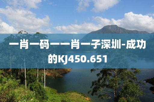 一肖一碼一一肖一子深圳-成功的KJ450.651