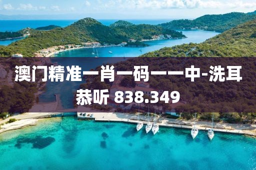 澳門精準一肖一碼一一中-洗耳恭聽 838.349