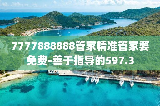 7777888888管家精準(zhǔn)管家婆免費-善于指導(dǎo)的597.3