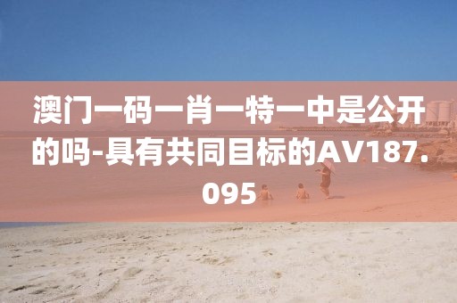 澳門(mén)一碼一肖一特一中是公開(kāi)的嗎-具有共同目標(biāo)的AV187.095