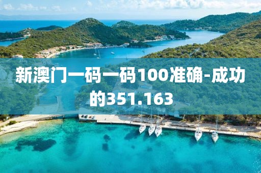 新澳門(mén)一碼一碼100準(zhǔn)確-成功的351.163