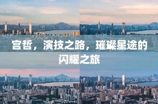 宮哲，演技之路，璀璨星途的閃耀之旅