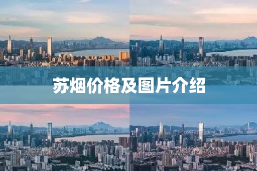蘇煙價格及圖片介紹