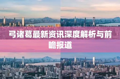 弓諸葛最新資訊深度解析與前瞻報道