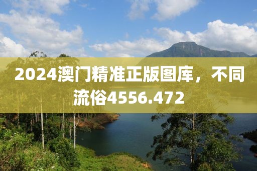 2024澳門精準(zhǔn)正版圖庫，不同流俗4556.472