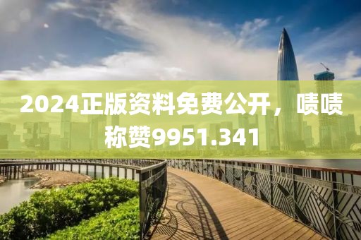 2024正版資料免費公開，嘖嘖稱贊9951.341