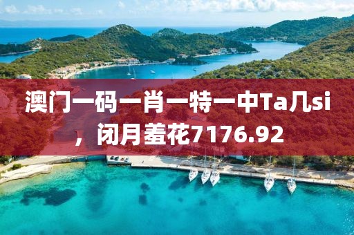 澳門一碼一肖一特一中Ta幾si，閉月羞花7176.92
