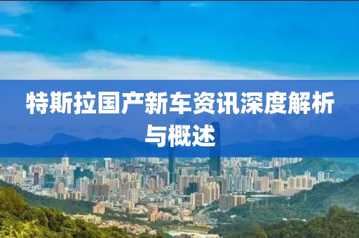 特斯拉國產(chǎn)新車資訊深度解析與概述