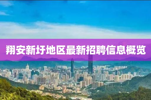 翔安新圩地區(qū)最新招聘信息概覽