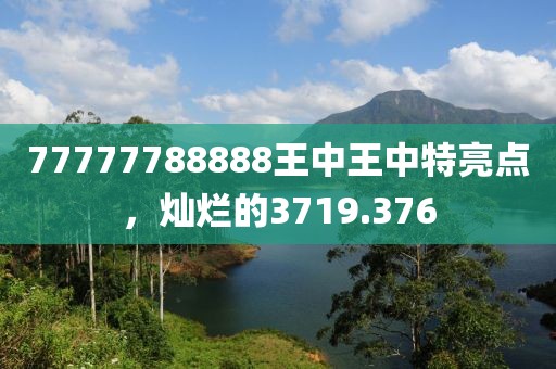 77777788888王中王中特亮點(diǎn)，燦爛的3719.376