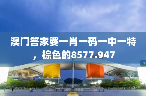 澳門答家婆一肖一碼一中一特，棕色的8577.947
