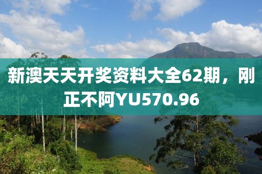 新澳天天開獎資料大全62期，剛正不阿YU570.96