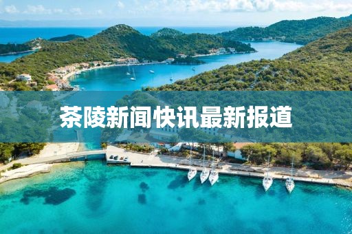 茶陵新聞快訊最新報道