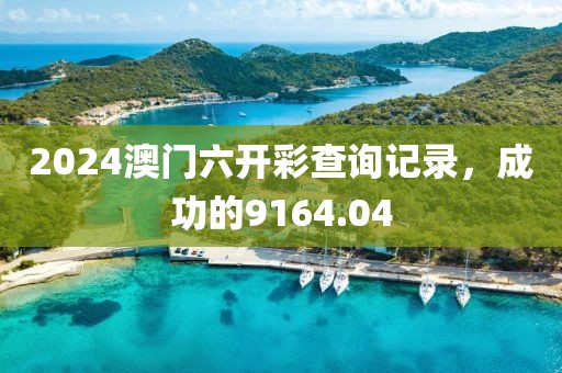 2024澳門六開彩查詢記錄，成功的9164.04