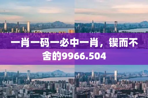 一肖一碼一必中一肖，鍥而不舍的9966.504