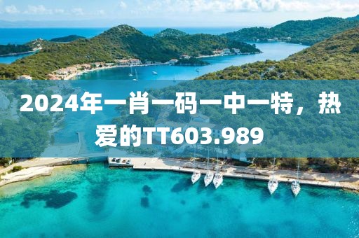 2024年一肖一碼一中一特，熱愛的TT603.989