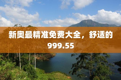 新奧最精準(zhǔn)免費(fèi)大全，舒適的999.55