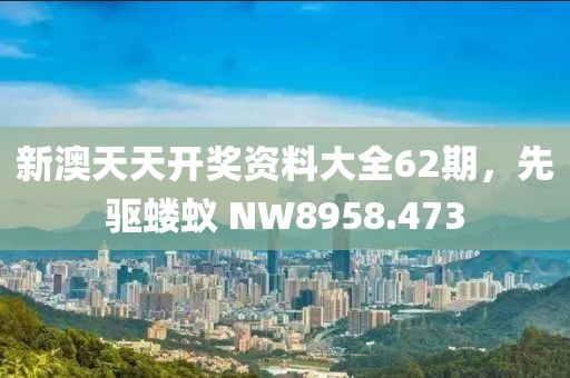 新澳天天開獎資料大全62期，先驅(qū)螻蟻 NW8958.473