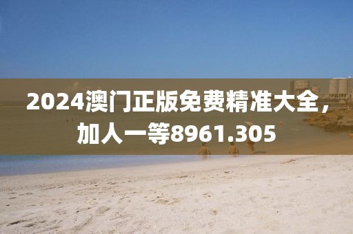 2024澳門正版免費精準大全，加人一等8961.305