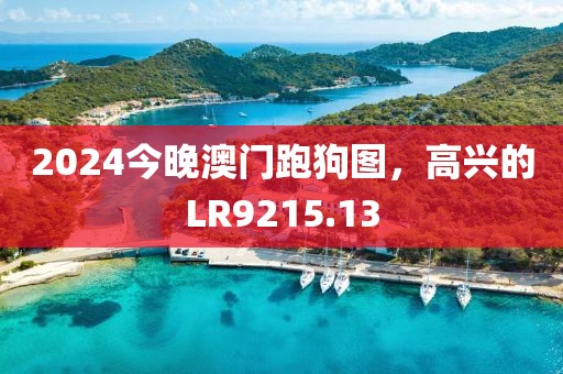 2024今晚澳門跑狗圖，高興的LR9215.13