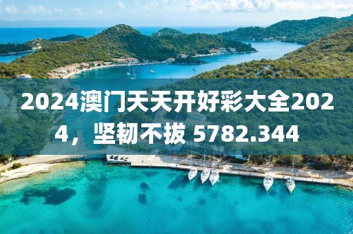 2024澳門天天開好彩大全2024，堅(jiān)韌不拔 5782.344