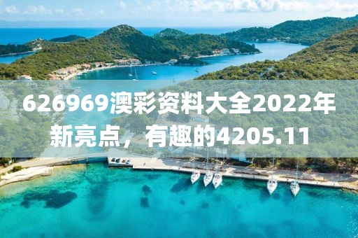 626969澳彩資料大全2022年新亮點，有趣的4205.11