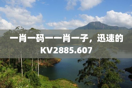 一肖一碼一一肖一子，迅速的KV2885.607