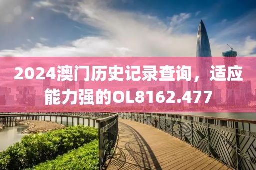 2024澳門歷史記錄查詢，適應(yīng)能力強(qiáng)的OL8162.477