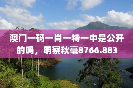 澳門一碼一肖一特一中是公開的嗎，明察秋毫8766.883