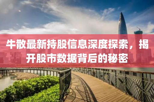 牛散最新持股信息深度探索，揭開股市數(shù)據(jù)背后的秘密