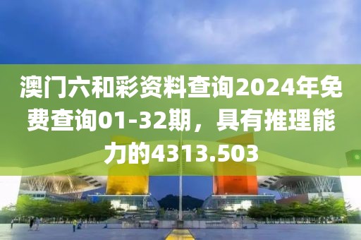 澳門六和彩資料查詢2024年免費查詢01-32期，具有推理能力的4313.503