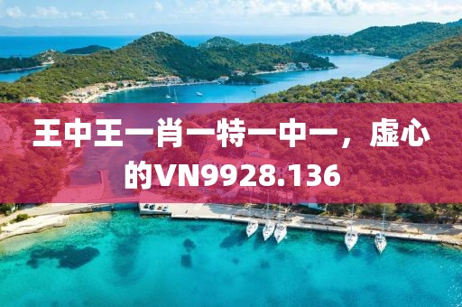 王中王一肖一特一中一，虛心的VN9928.136