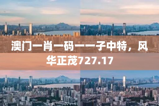 澳門一肖一碼一一子中特，風(fēng)華正茂727.17