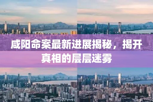 咸陽命案最新進展揭秘，揭開真相的層層迷霧