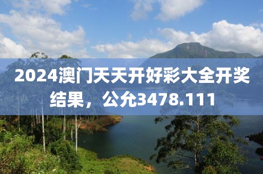 2024澳門天天開好彩大全開獎結果，公允3478.111