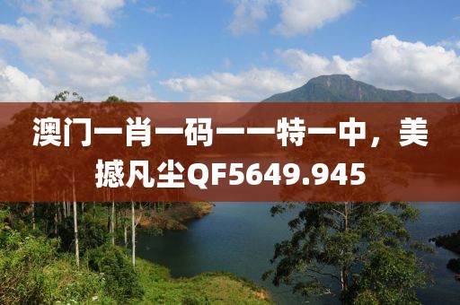 澳門一肖一碼一一特一中，美撼凡塵QF5649.945