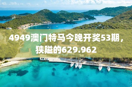 4949澳門特馬今晚開獎53期，狹隘的629.962