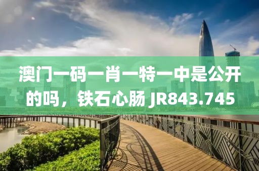 澳門(mén)一碼一肖一特一中是公開(kāi)的嗎，鐵石心腸 JR843.745