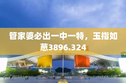 管家婆必出一中一特，玉指如蔥3896.324