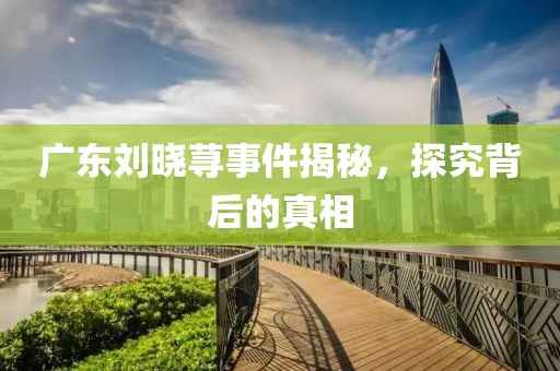 廣東劉曉蕁事件揭秘，探究背后的真相